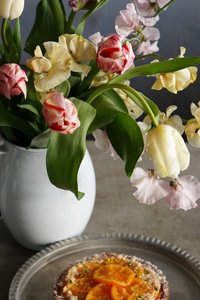 Biscuitta（ビスケッタ）_コラボ便