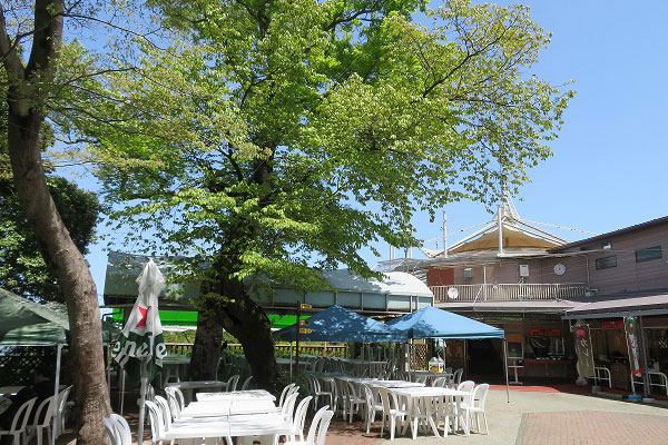 高尾山ビアマウント_会場