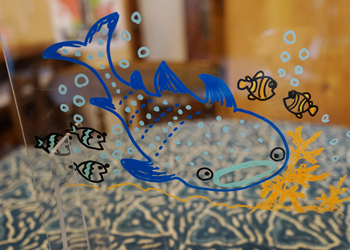 沖縄倉庫_ジンベエザメ