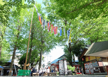 田無神社_鯉のぼり全景