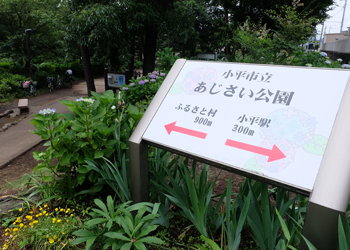 あじさい公園_看板