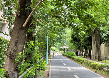 狭山・境緑道
