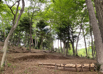 犬目の森キャンプ場_1