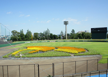 スリーボンドスタジアム八王子_1